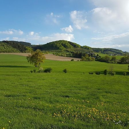 freundliche Unterkunft Sauerland Meschede Exterior foto