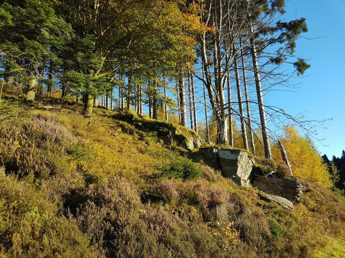 freundliche Unterkunft Sauerland Meschede Exterior foto